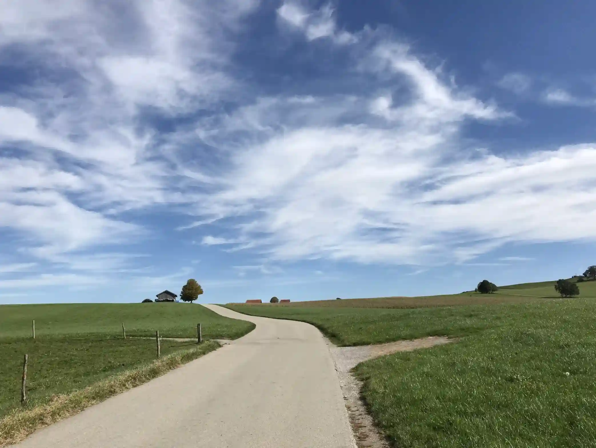 blog-post